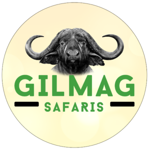 Gilmag Safaris